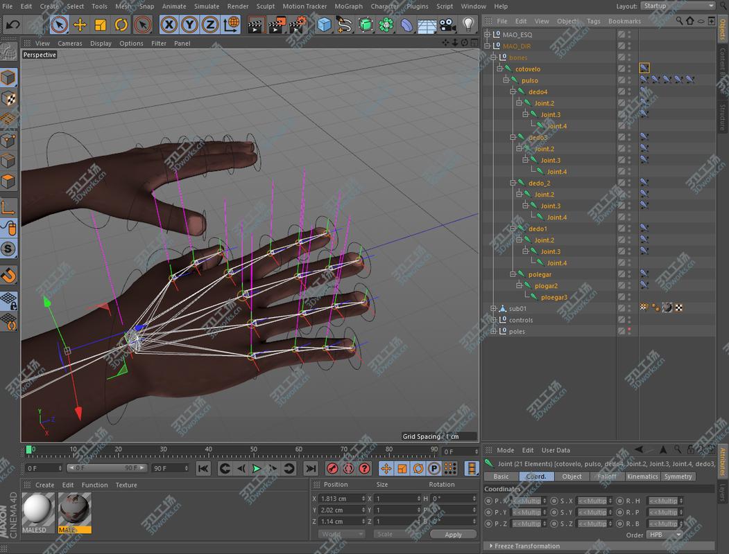 images/goods_img/202105073/Fully Rigged Hands/2.jpg